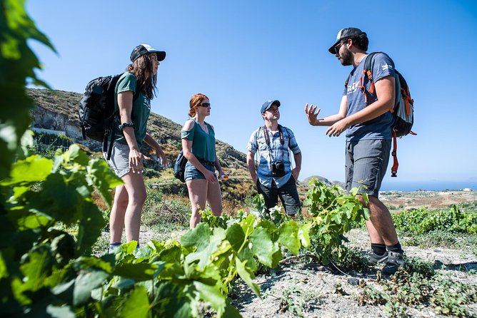 Santorini : Cooking Class & Easy Hike - A 9:00 am pickup keeps the morning easy