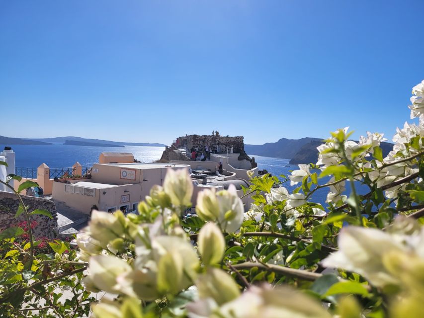 Santorini: Customizable Private Island Day Tour - Black, red, and Vlychada beaches