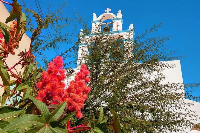 Santorini Day Tour with Sunset in Oia - Pyrgos and the view from Profitis Ilias