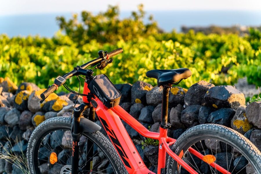 Santorini e-bike guided tours - Windmills and Vlichada complete the southern loop