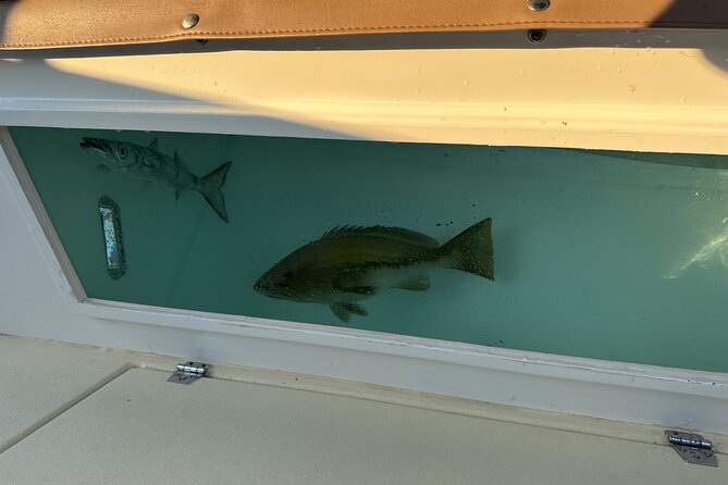 Santorini Fishing Private Cruise boat tour - BBQ, Snorkeling - Booking, weather, and cancellation details