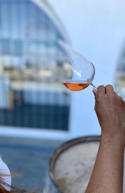 Santorini Fun day: Horseriding- Wine Tasting - Tapas - Snacks and drinks after the ride