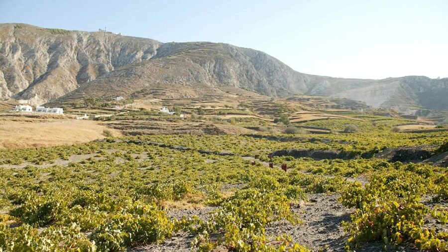 Santorini: Guided Highlights Tour with Private Wine Tasting - What the private minibus adds