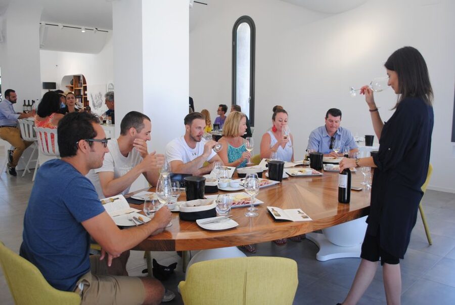 Santorini: Guided Wine Tour with Pickup and Snacks - Art Space Winery, where wine meets art