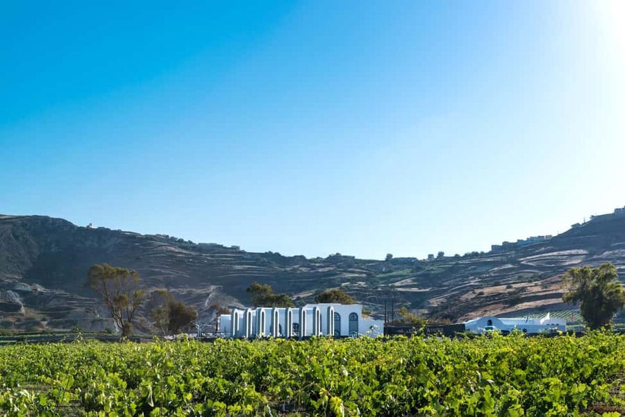 Santorini: Guided Wine Tour with Pickup and Snacks - Is $218 per person fair?