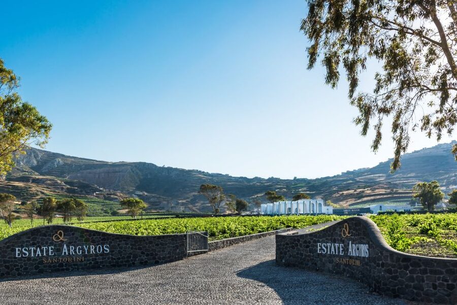 Santorini: Guided Wineries Private Tour with Wine Tastings - Transport, timing, and pickup details