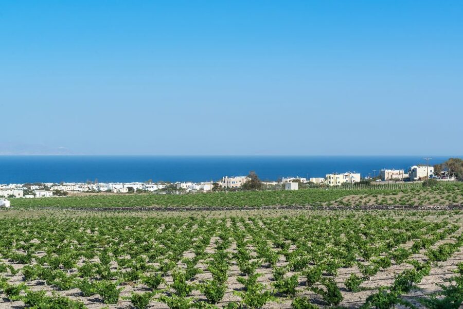 Santorini: Guided Wineries Private Tour with Wine Tastings - Art Space: old volcanic rooms and Greek art