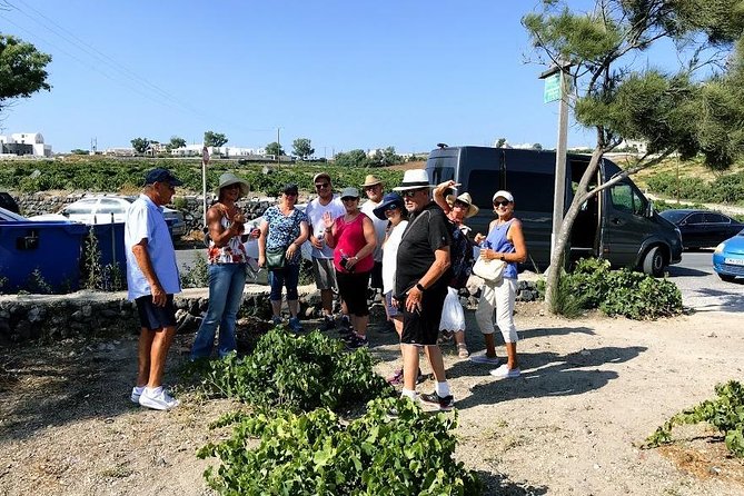 Santorini Half Day Wine Tasting & Winery Tour with Pickup - Artemis Karamolegos adds a modern winery stop