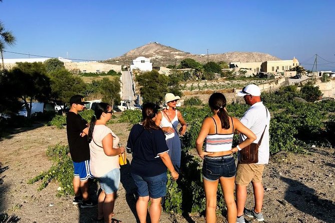 Santorini Half Day Wine Tasting & Winery Tour with Pickup - What the private vehicle changes