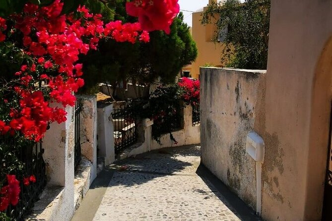 Santorini Highlights Tour 5 Hour - What this Santorini tour is really designed to do