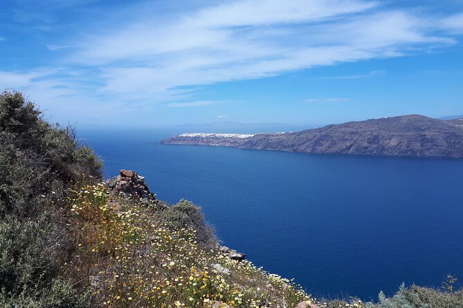 Santorini Highlights& Wine Tasting Private Tour - Santo Wines: a strong finish above the caldera