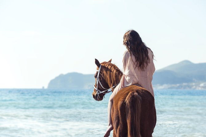 Santorini Horse Riding to Black Sandy Beach - At a Glance: What Makes This Ride Worth Your Time