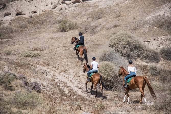 Santorini Horse Riding to Black Sandy Beach - Who Will Enjoy This Most