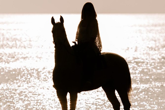 Santorini: Horse Riding to the Black Sandy Beach (Eros beach) - Horses, guides, and the beginner question