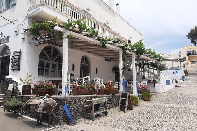 Santorini like a local: Discover local flavors by exploring the island! - Who will get the most from this outing?