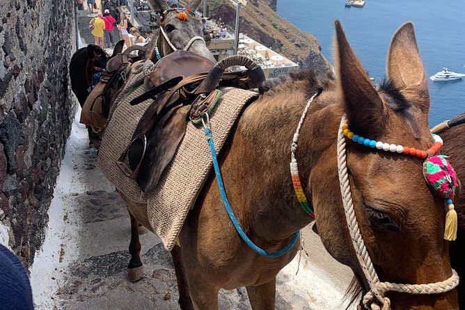 Santorini: Local Life Full Day Tour - What the private price buys you