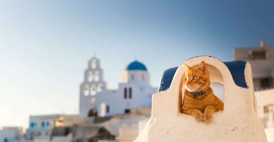 Santorini: Private 4-Hour Chauffeur Service - What the private vehicle changes