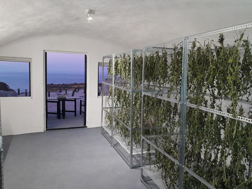 Santorini: Private Agri-Educational Visit to an Organic Farm - Key points to know before you go