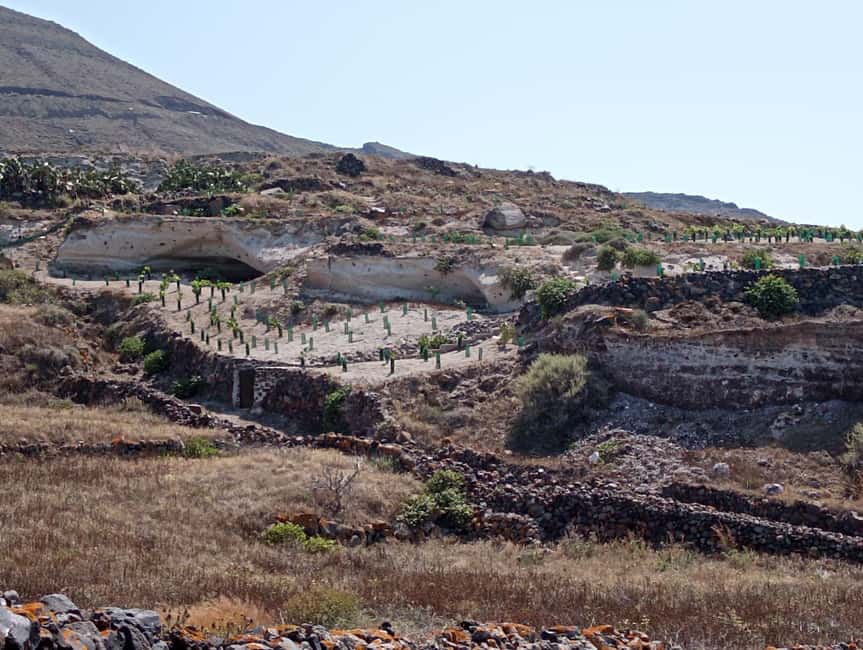 Santorini: Private Agri-Educational Visit to an Organic Farm - Why this farm visit feels different from standard Santorini sightseeing