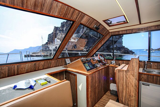 Santorini Private Cruise Sightseeing Tour with BBQ and Drinks - Swimming, snorkeling, and time on the water