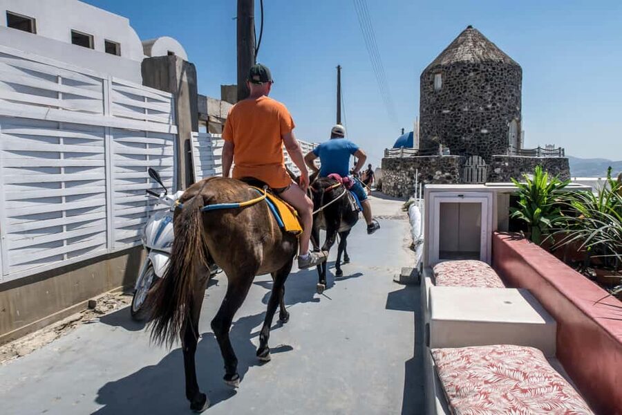 Santorini : Private Guided Highlights Tour - Mobility, comfort, and walking demands