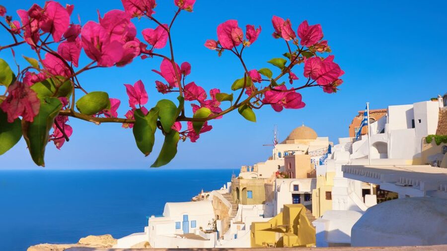 Santorini : Private Half Day - Best of & Wine Tasting Tour - Art Space Winery: the day’s most distinctive tasting
