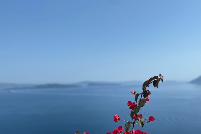 Santorini Private Highlights Tour - What the $260.36 price really means
