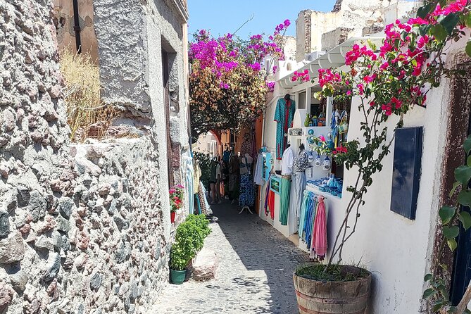 Santorini: Private Sightseeing Tour with Local Guide - Oia and the blue domes