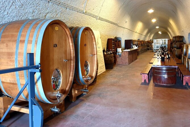 Santorini Private Wine Tasting Experience with private sommelier - Artemis Karamolegos Winery and four handpicked labels