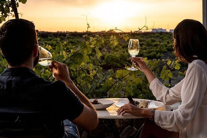 Santorini Private Wine Tasting Tour with Greek Lunch - Venetsanos Winery Above the Caldera
