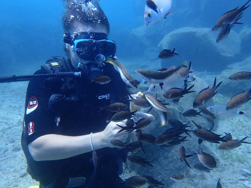 Santorini: Scuba Diving - The 20-minute video and basic instruction
