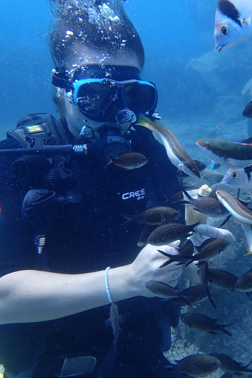 Santorini: Scuba Diving - Entering shallow water at your own pace