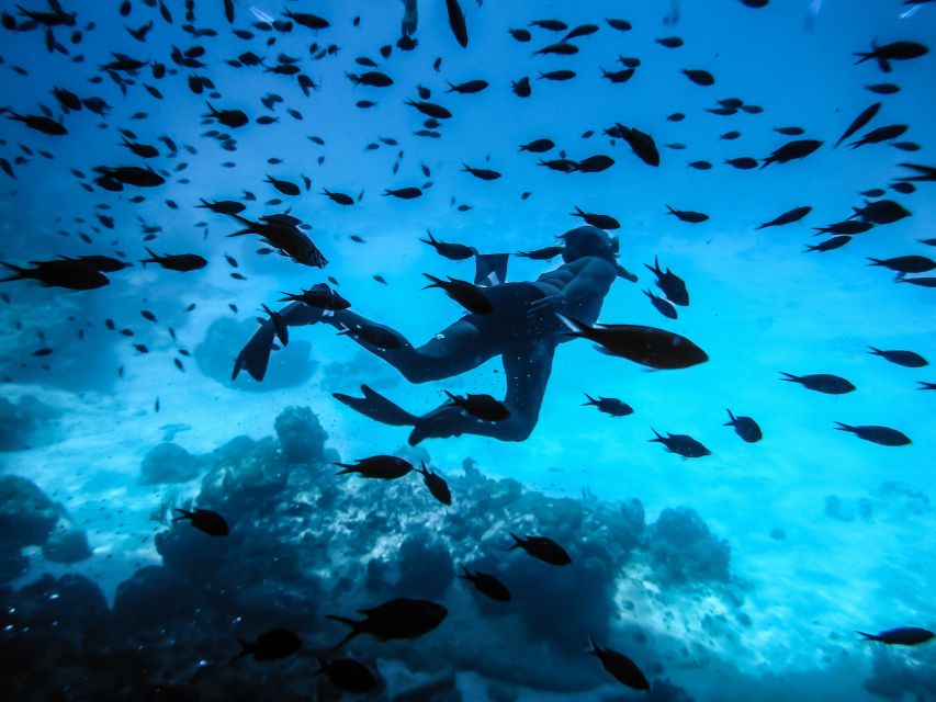 Santorini: Scuba Diving Experience for Beginners - Starting in Oia and heading to Armeni Bay