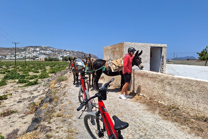 Santorini Small Group Guided E-bike Tour & Local Tomato Museum - The Heart of Santorini at Akrotiri
