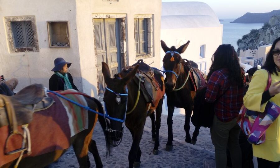 Santorini: Small-Group Highlights Tour of Venetian Castles - Firostefani and the familiar blue dome