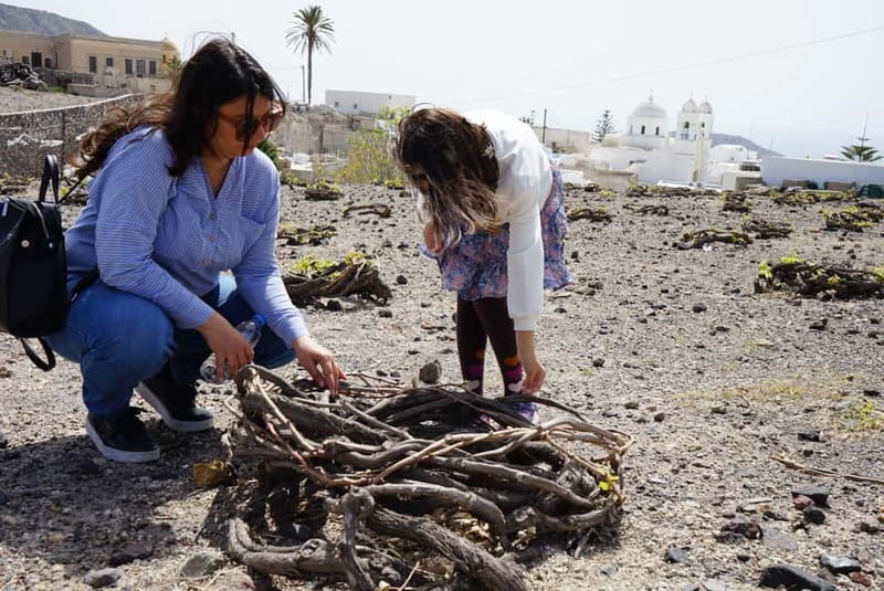 Santorini: Small Group Sightseeing Tour with a Local Guide - Pickup details for hotels and cruise passengers