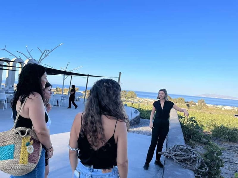 Santorini: Small Group Tour of 3 Local Wineries - Art Space Winery, where wine meets Greek art
