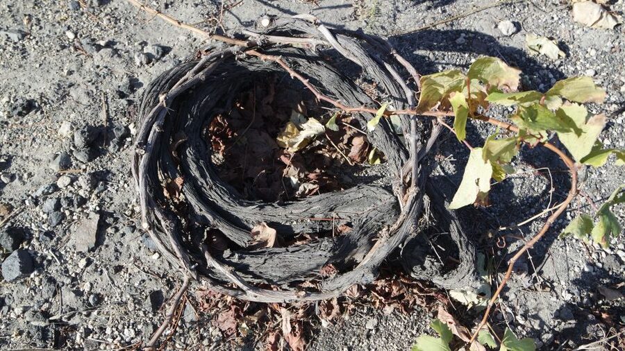Santorini: Small Group Tour of 3 Local Wineries - Is the $167 price fair?