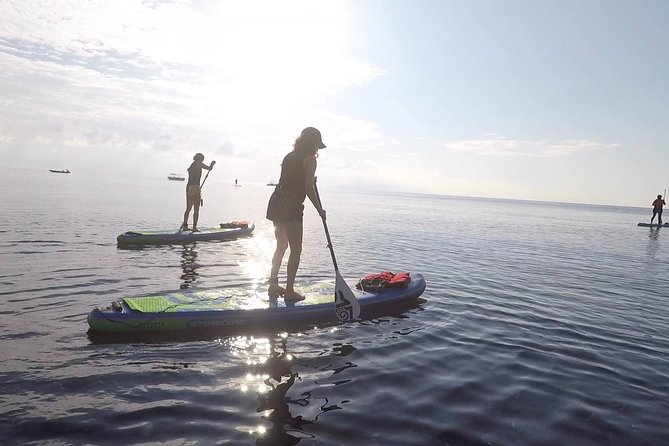 Santorini: Stand-Up Paddle and Snorkel Adventure - Paddling along the cliff-lined coast