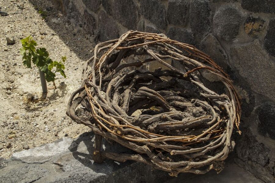 Santorini: Three Wineries and One Brewery Tour with Tastings - Practical ways to get more from the afternoon