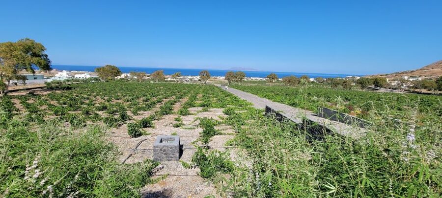 Santorini: Three Wineries and One Brewery Tour with Tastings - Art Space Winery in Exo Gonia