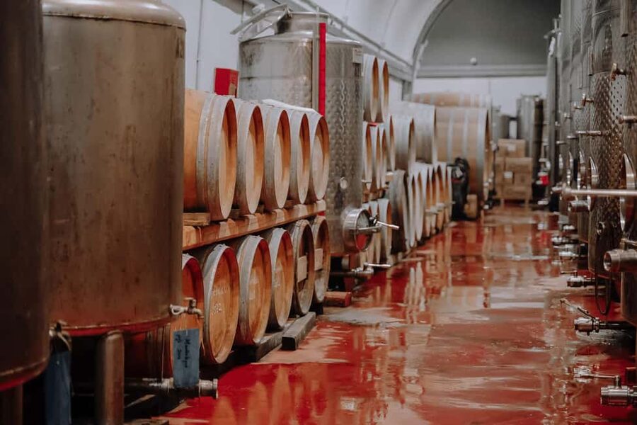 Santorini: Through the Grapevine Tour Winery Tasting Tour - The first winery sets the tone