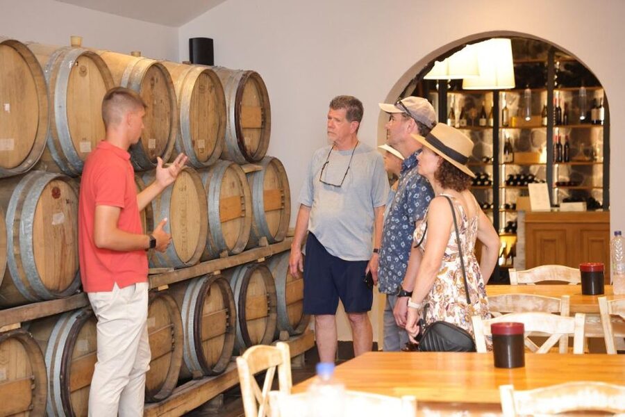 Santorini: Tour of Wineries with Wine Tasting & Food - The vineyard stop explains Santorini’s unusual vines