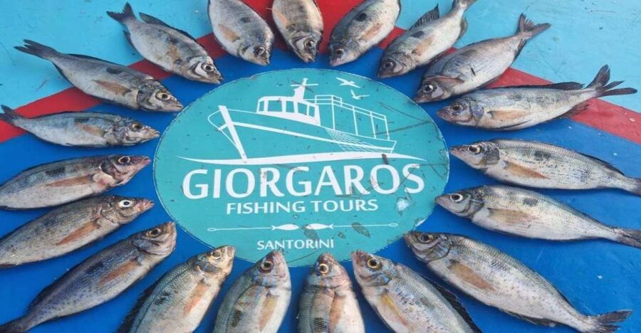 Santorini: Traditional Fishing Trip and Fresh Fish Lunch - At a glance: what makes this fishing trip different