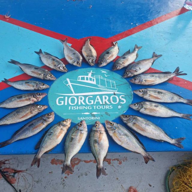 Santorini: Traditional Fishing Trip and Fresh Fish Lunch - Who should book this Santorini fishing tour?