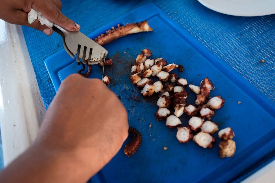 Santorini: Traditional Fishing Trip and Fresh Fish Lunch - A working boat, not a polished cruise