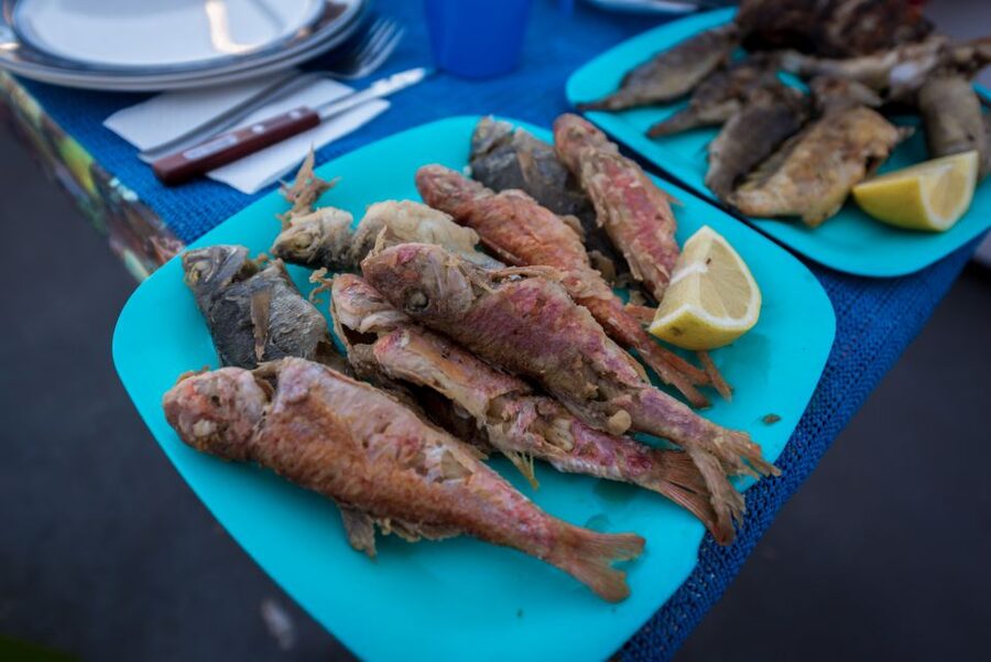 Santorini: Traditional Fishing Trip and Fresh Fish Lunch - Swimming and snorkeling between fishing sessions