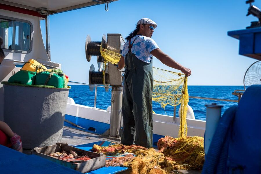 Santorini: Traditional Fishing Trip and Fresh Fish Lunch - Fresh fish lunch cooked on board