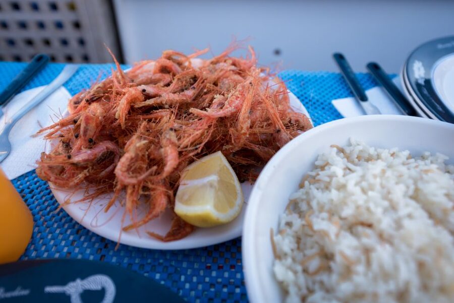 Santorini: Traditional Fishing Trip and Fresh Fish Lunch - Pickup, harbor, and the first minutes at sea