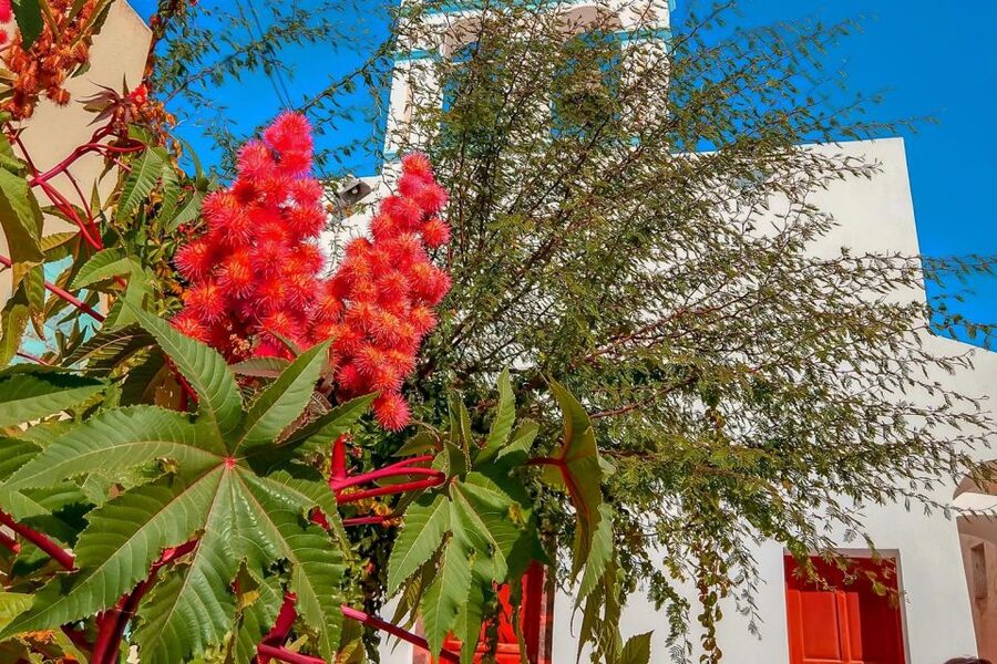Santorini: Traditional Sightseeing Bus Tour with Oia Sunset - Bus comfort, roads, and the pace of the day